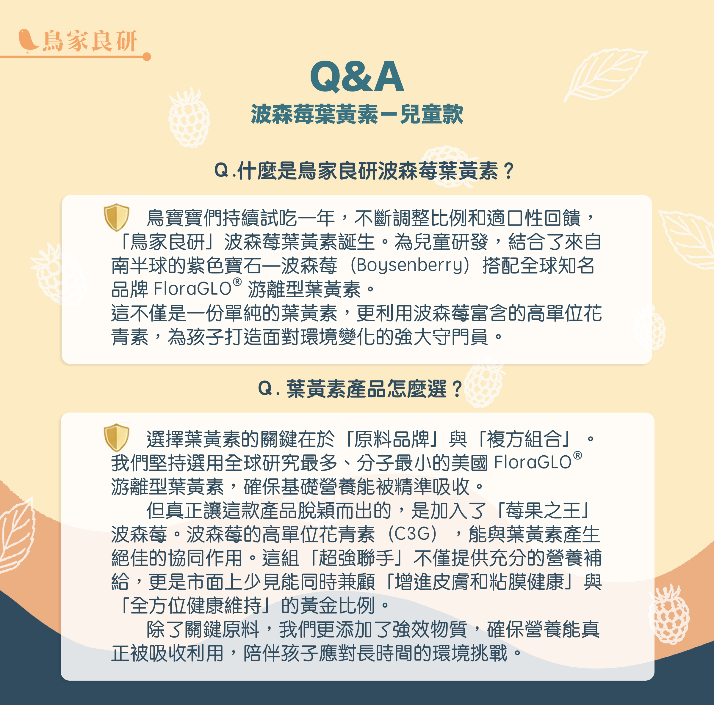 波森莓葉黃素 Q&A（一）