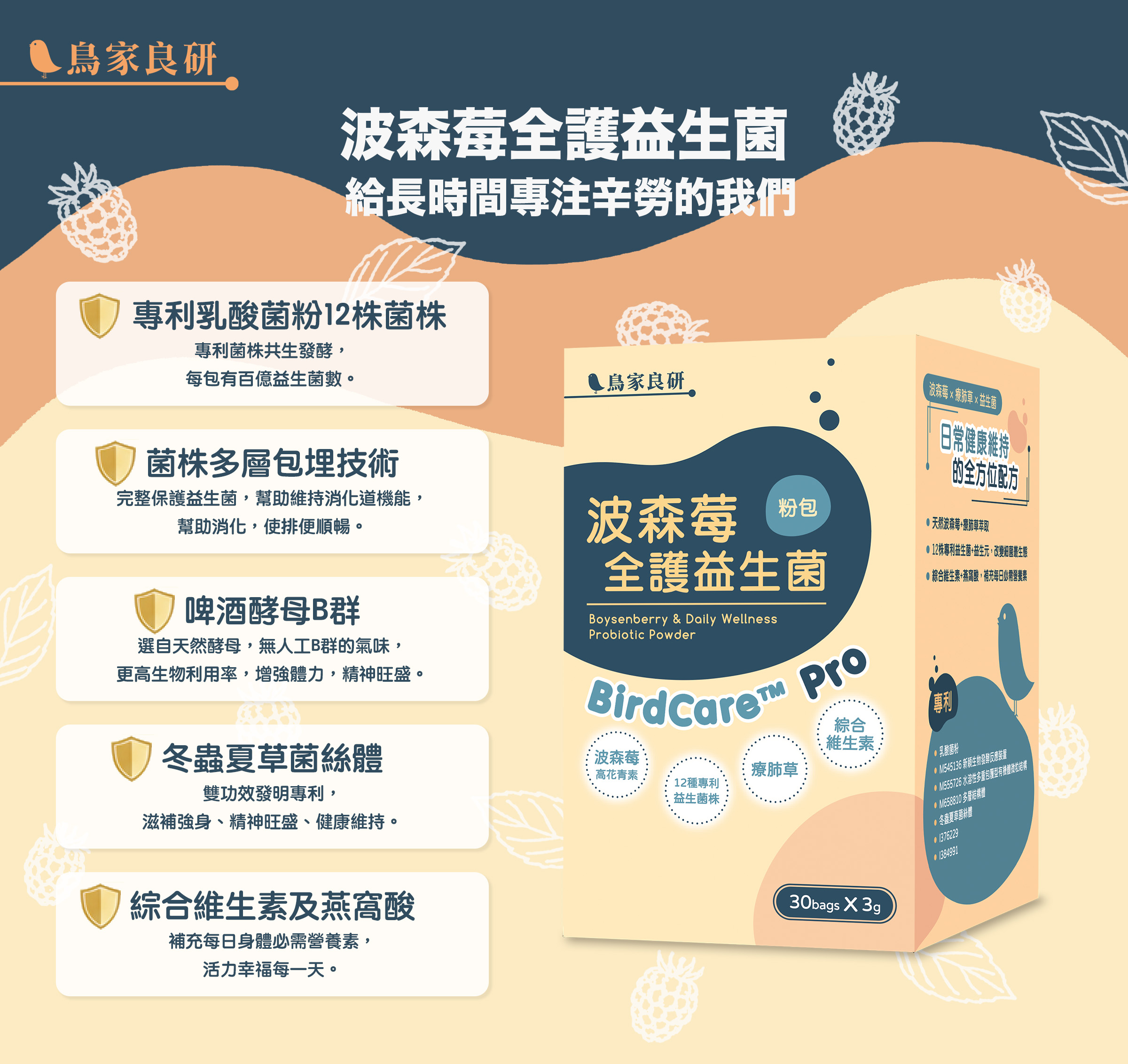 波森莓全護益生菌 給長時間專注辛勞的我們